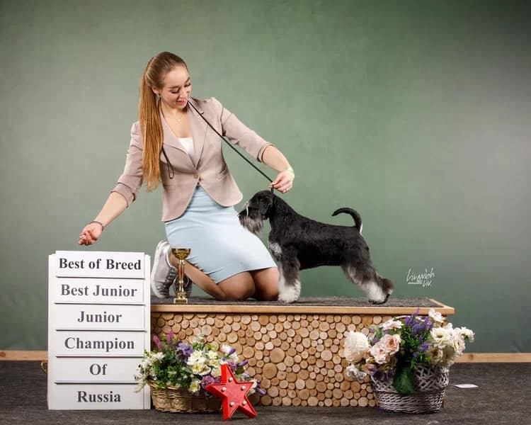 http://upforme.ru/uploads/0013/26/e2/64/984848.jpg