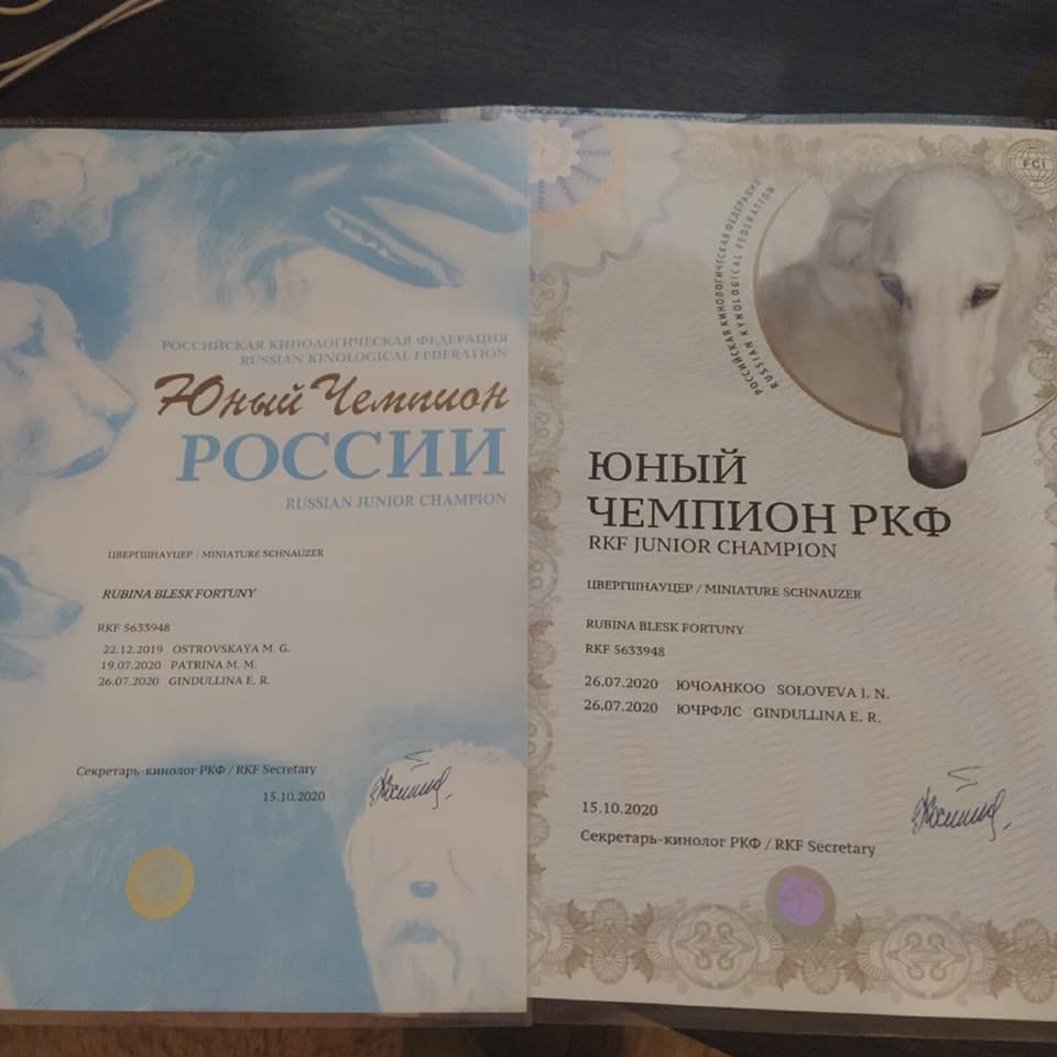 http://upforme.ru/uploads/0013/26/e2/64/985236.jpg