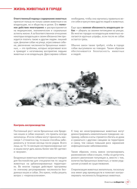 http://upforme.ru/uploads/0013/26/e2/64/995144.png