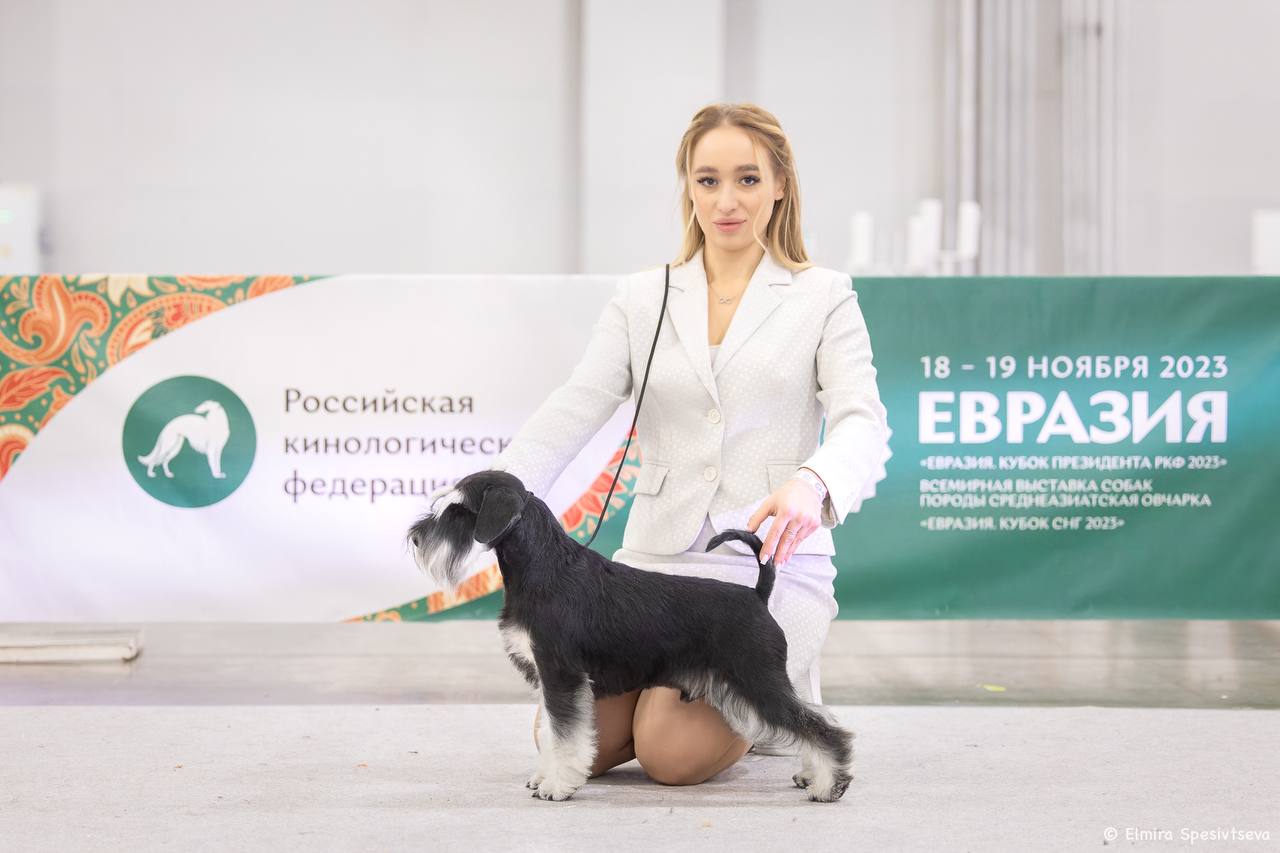 http://upforme.ru/uploads/0013/26/e2/64/999565.jpg