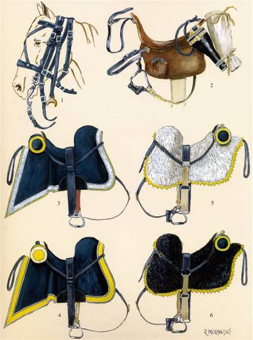 http://upforme.ru/uploads/0013/2f/5e/610/t77744.jpg