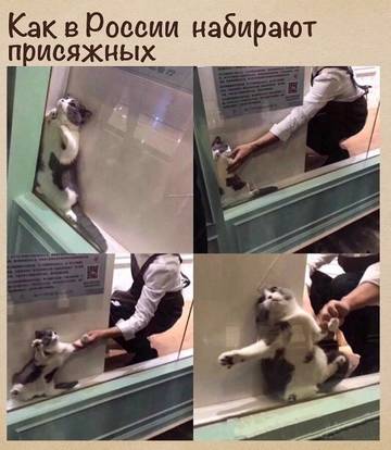 http://upforme.ru/uploads/0013/49/be/979/t938491.jpg