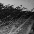 http://upforme.ru/uploads/0013/6e/7e/2/453804.gif
