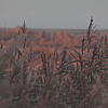 http://upforme.ru/uploads/0013/6e/7e/2/752956.jpg