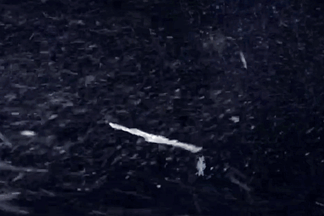 http://upforme.ru/uploads/0013/70/40/39/876095.gif