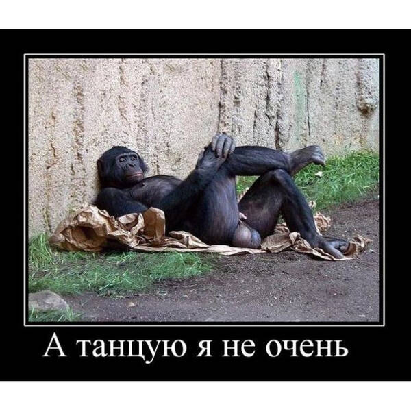 http://upforme.ru/uploads/0013/ae/d4/608/t138724.jpg