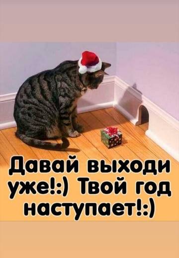 http://upforme.ru/uploads/0013/dd/4c/20/t14863.jpg