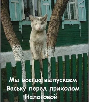http://upforme.ru/uploads/0013/dd/4c/20/t151716.jpg