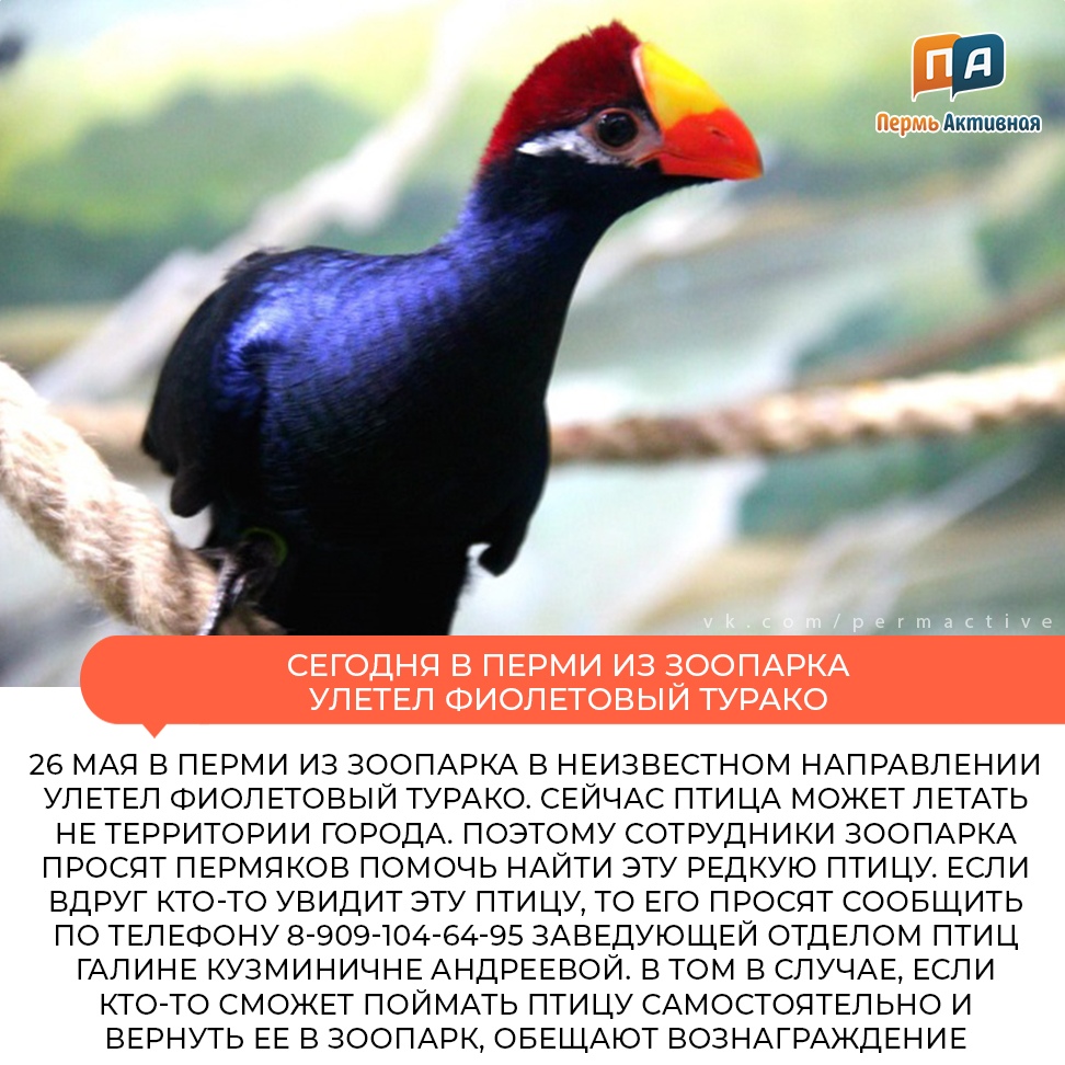 http://upforme.ru/uploads/0013/dd/4c/30/231979.jpg