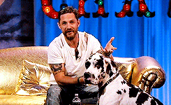 http://upforme.ru/uploads/0013/fe/19/2/852173.gif
