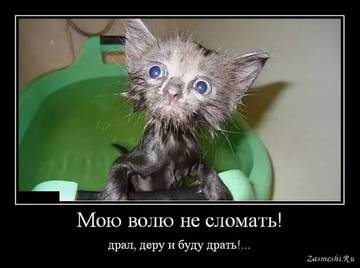 http://upforme.ru/uploads/0014/0c/bd/188/t312438.jpg