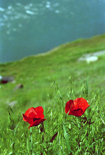http://upforme.ru/uploads/0014/0c/bd/359/t63020.jpg