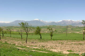 http://upforme.ru/uploads/0014/0c/bd/359/t83086.jpg