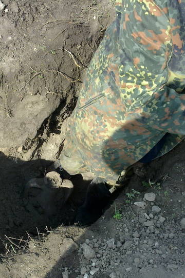http://upforme.ru/uploads/0014/0c/bd/4/t92197.jpg
