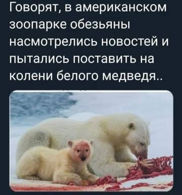 http://upforme.ru/uploads/0014/0c/bd/59/t352632.jpg