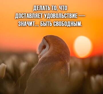 http://upforme.ru/uploads/0014/14/57/2048/t323638.jpg