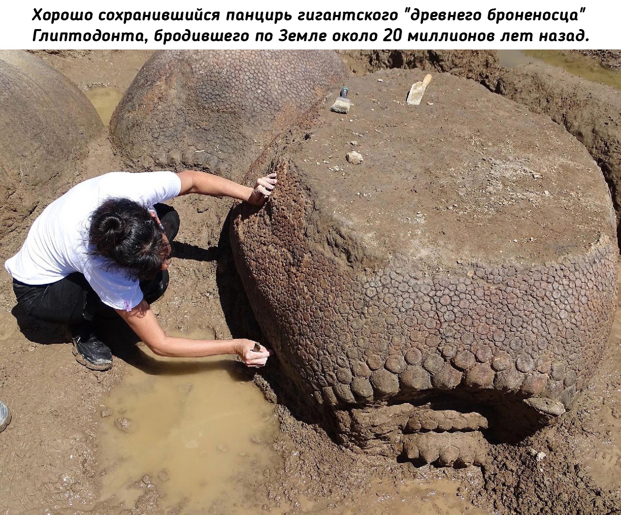 http://upforme.ru/uploads/0014/1d/02/10/41682.jpg