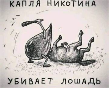 http://upforme.ru/uploads/0014/1d/02/5/t291206.jpg