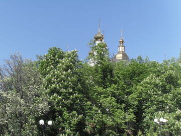 http://upforme.ru/uploads/0014/1d/02/5/t628367.jpg