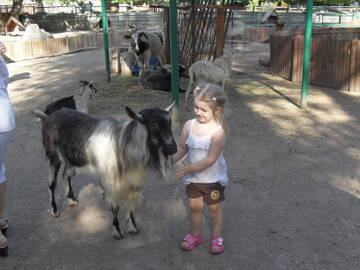 http://upforme.ru/uploads/0014/1d/02/5/t848117.jpg
