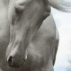 http://upforme.ru/uploads/0014/25/f5/2/t75603.png