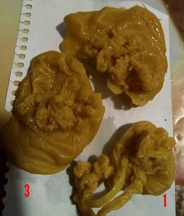 http://upforme.ru/uploads/0014/3b/b9/1134/t57902.jpg