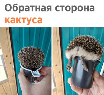http://upforme.ru/uploads/0014/3b/b9/2/t527654.jpg