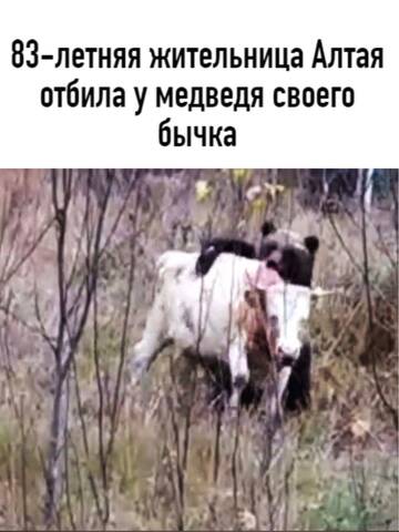 http://upforme.ru/uploads/0014/3b/b9/2/t595157.jpg