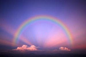 http://upforme.ru/uploads/0014/50/19/2/t212150.png