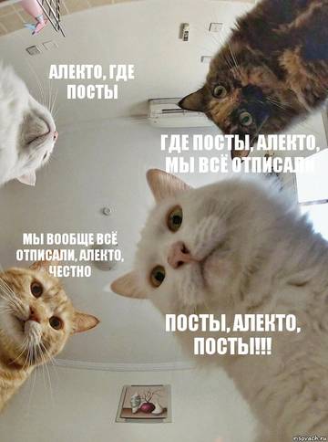 http://upforme.ru/uploads/0014/6e/c5/515/t895171.jpg