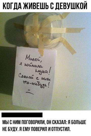 http://upforme.ru/uploads/0014/6e/c5/570/t13525.jpg