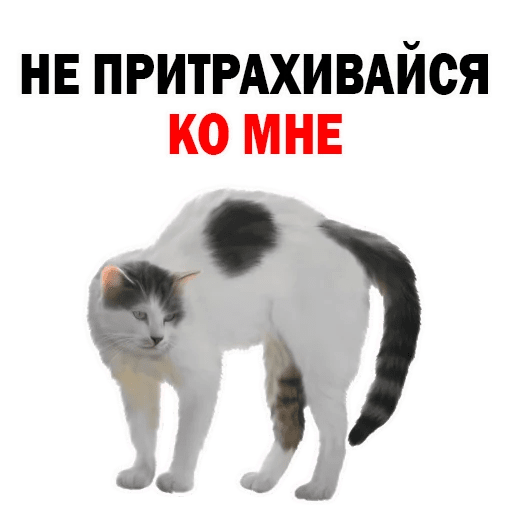 http://upforme.ru/uploads/0014/6e/c5/599/744963.png