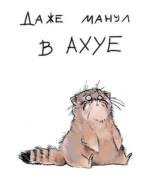 http://upforme.ru/uploads/0014/6e/c5/603/273408.jpg