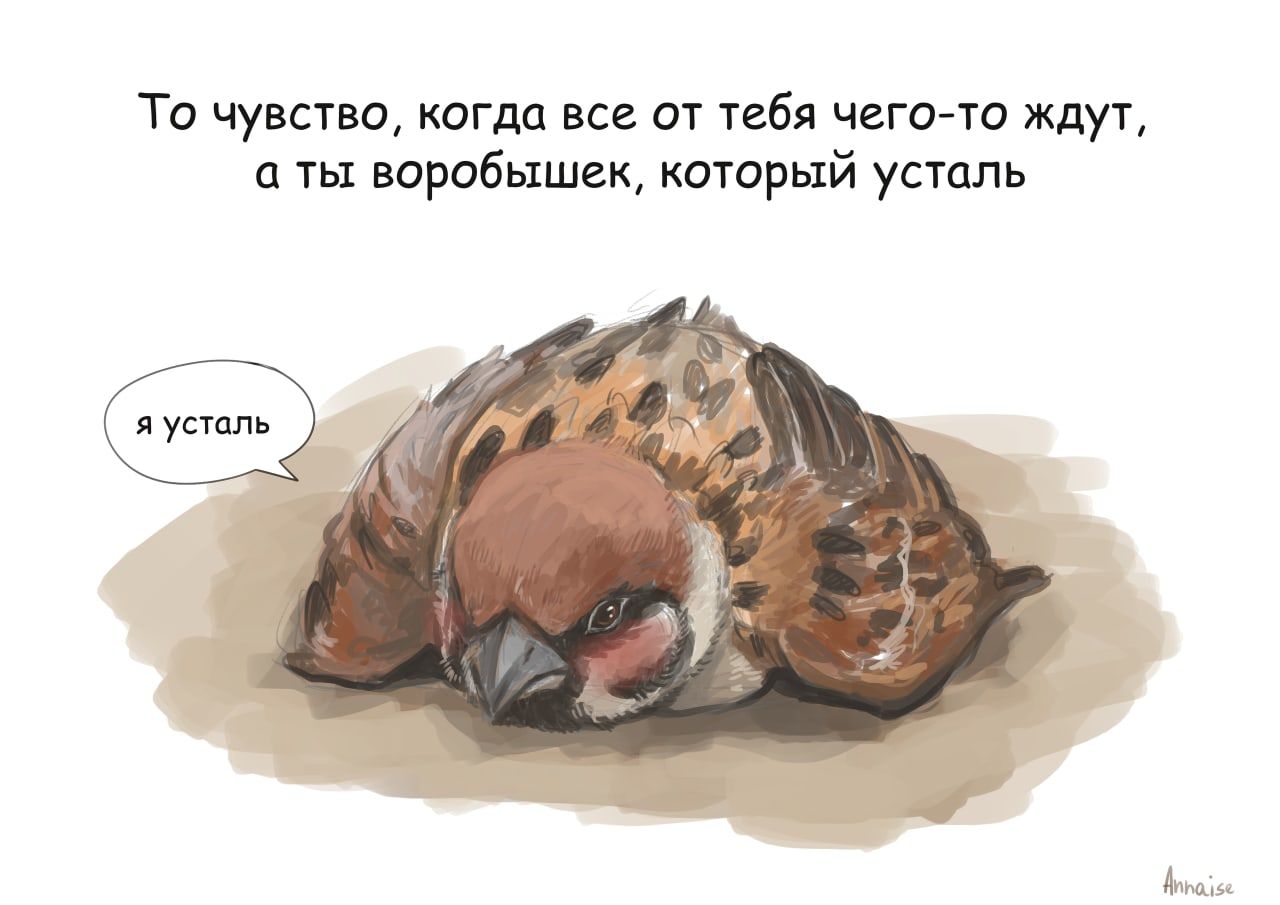 http://upforme.ru/uploads/0014/6e/c5/603/544981.jpg