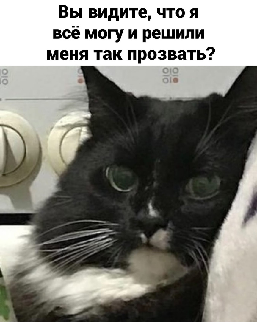 http://upforme.ru/uploads/0014/6e/c5/641/102329.jpg