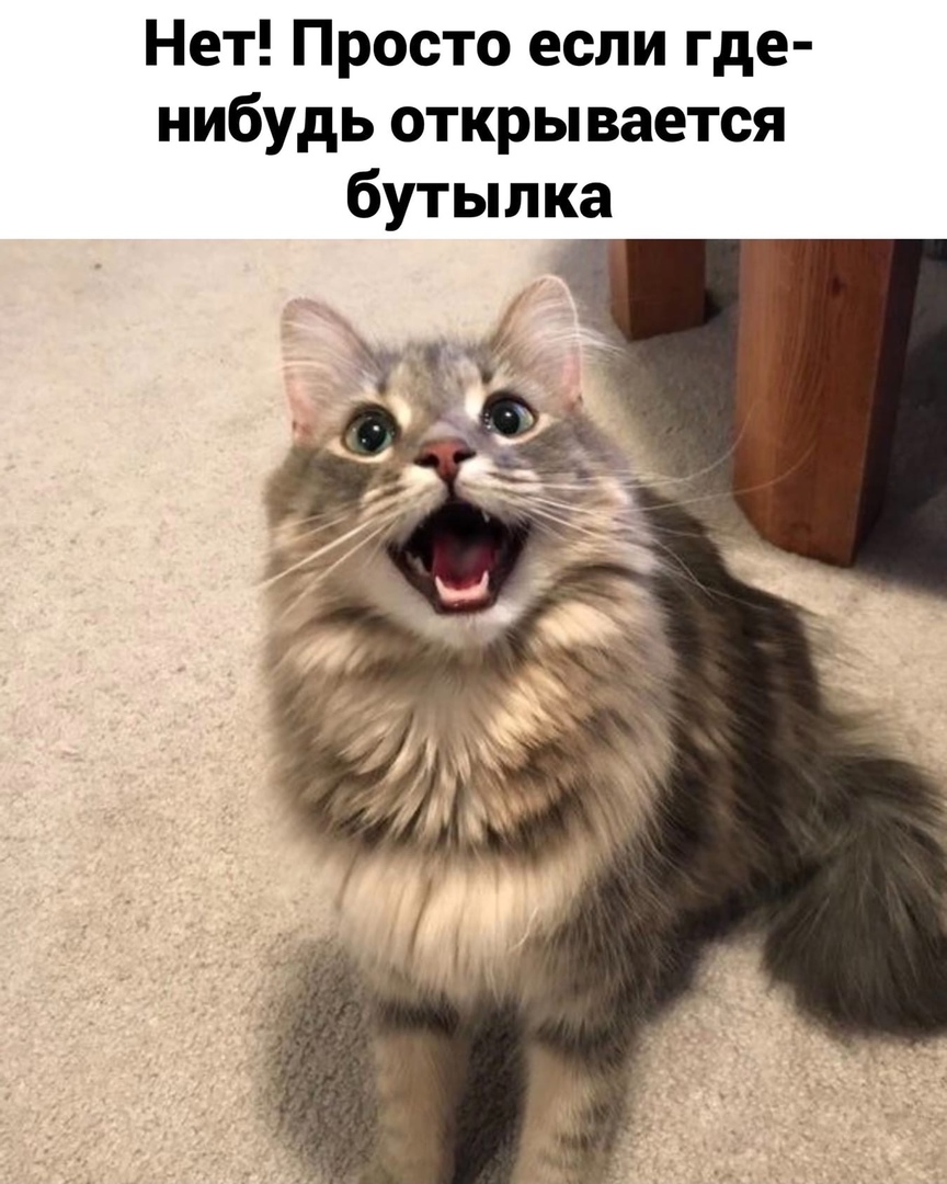 http://upforme.ru/uploads/0014/6e/c5/641/116399.jpg