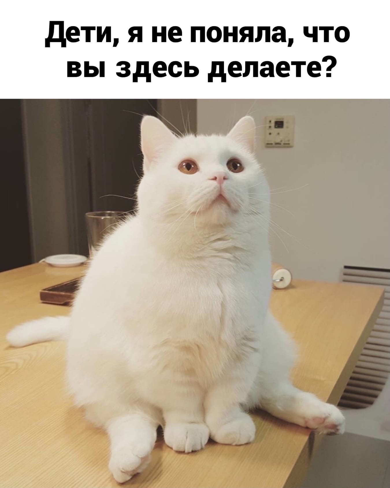 http://upforme.ru/uploads/0014/6e/c5/641/378450.jpg