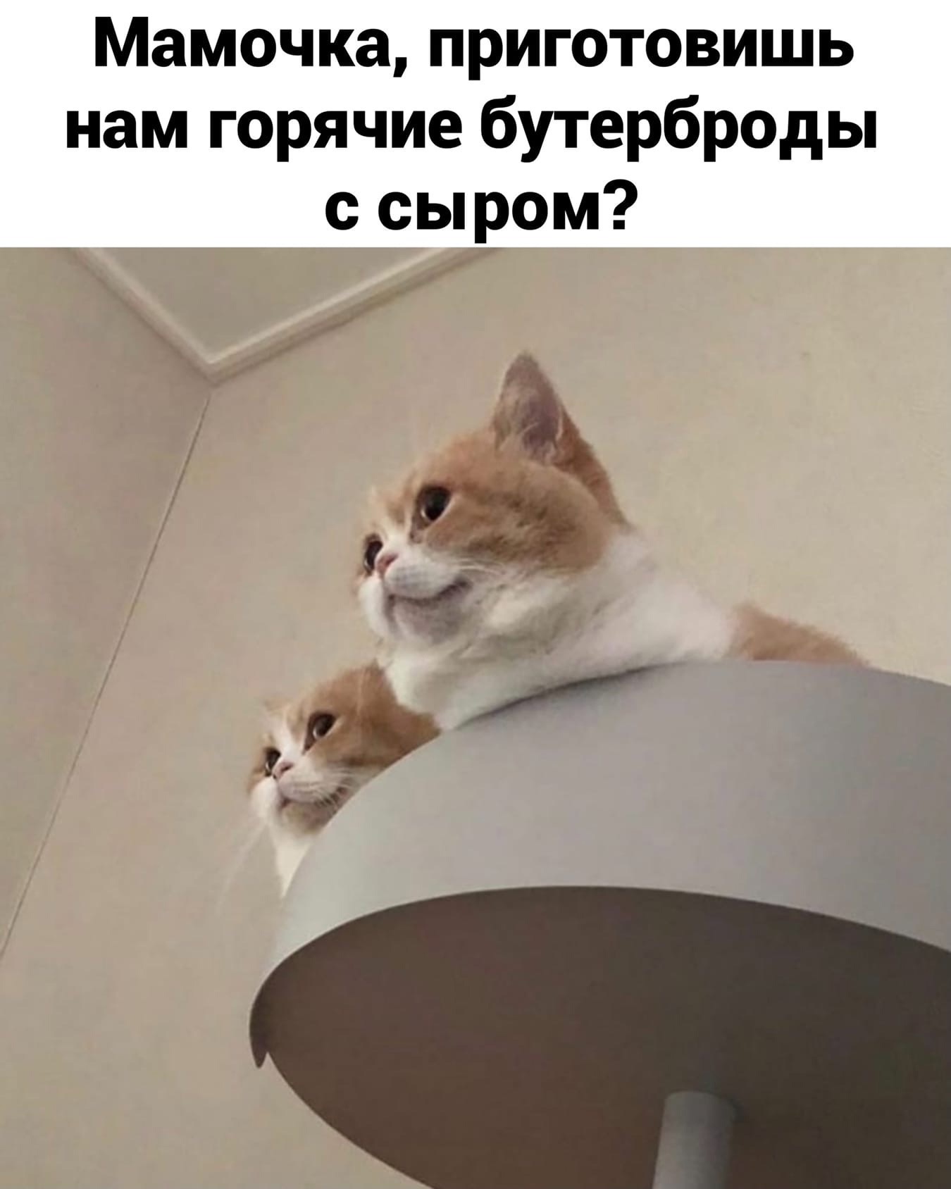 http://upforme.ru/uploads/0014/6e/c5/641/379742.jpg