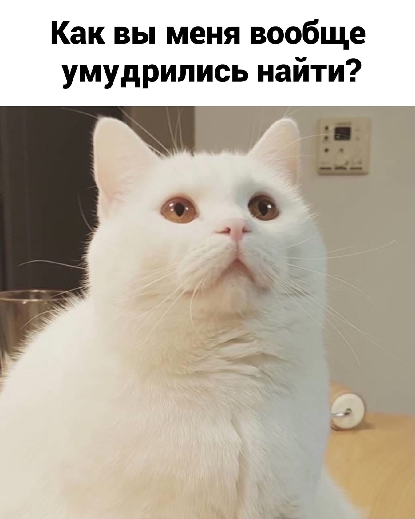 http://upforme.ru/uploads/0014/6e/c5/641/60785.jpg