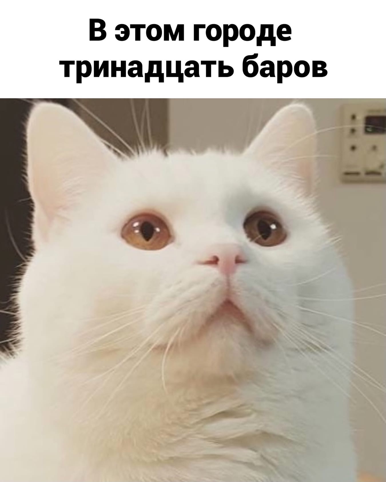 http://upforme.ru/uploads/0014/6e/c5/641/644860.jpg