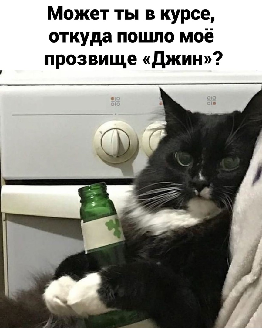 http://upforme.ru/uploads/0014/6e/c5/641/728981.jpg