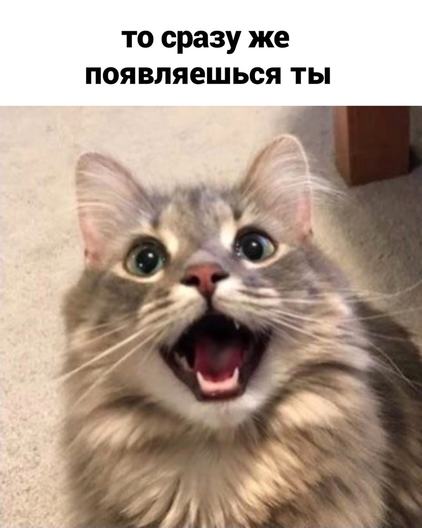 http://upforme.ru/uploads/0014/6e/c5/641/880004.jpg