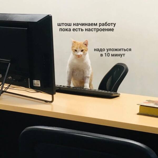 http://upforme.ru/uploads/0014/6e/c5/721/t381811.jpg
