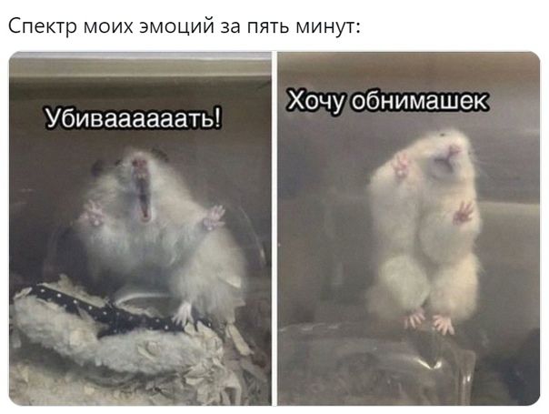 http://upforme.ru/uploads/0014/6e/c5/727/183675.jpg