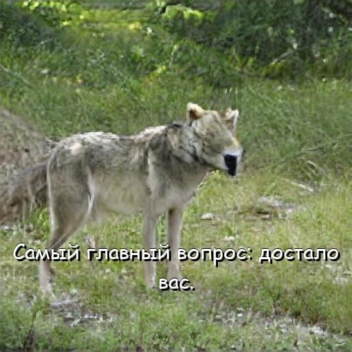 http://upforme.ru/uploads/0014/6e/c5/728/837824.jpg