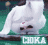 http://upforme.ru/uploads/0014/7b/b2/11/t118733.gif