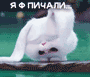 http://upforme.ru/uploads/0014/7b/b2/11/t890445.gif