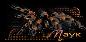 http://upforme.ru/uploads/0014/7b/b2/117/t419813.gif