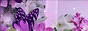 http://upforme.ru/uploads/0014/7b/b2/153/t216329.gif