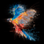 http://upforme.ru/uploads/0014/7b/b2/212/t123160.gif